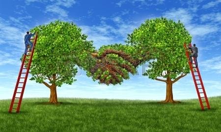 Mediação Ambiental