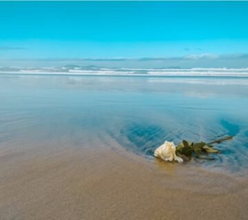 Probate lawyerin Brazil - photo by Alfredo Viramontes