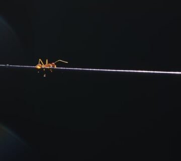 agravo de instrumento o que é 1.015 CPC